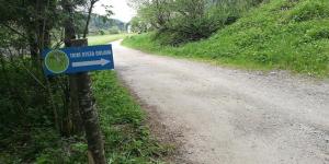 Trim track Golava