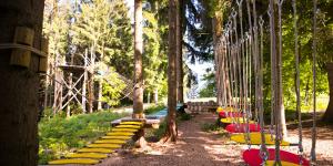 Družinsko-adrenalinski park Stari vrh