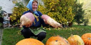 Pot poljanskih dobrot