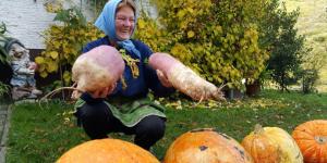 The Path of Poljane Treats