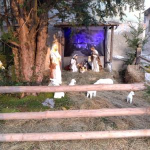 Središče starih Poljan so tudi tokrat krasile velike jaslice pod staro tiso, ki jih z veseljem postavlja Anton Kokelj z družino. FOTO: JURE FERLAN