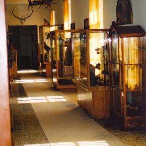 Prirodoslovna zbirka pred prenovo leta 2007 Foto: arhiv Loškega muzeja