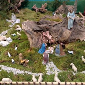 Skrbno postavljene jaslice v cerkvi v Stari Oselici odlikuje zanimiva votlina iz lesenega štora. FOTO: JURE FERLAN