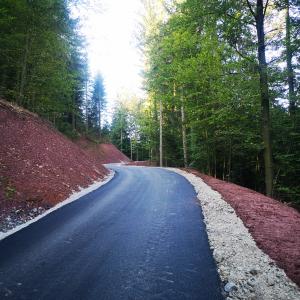 Obnovljeni odsek ceste Lovran–Vic v KS Trebija Foto: Jure Burnik