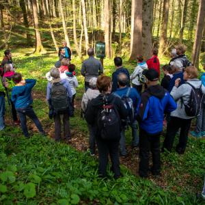Odprtje prenovljene gozdne učne poti Visokem FOTO: PRIMOŽ PIČULIN