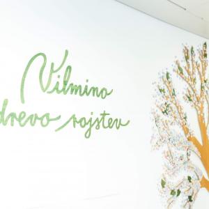 Vilmino drevo rojstev FOTO: ARHIV PORODNIŠNICE LJUBLJANA, MATEJ POVŠE