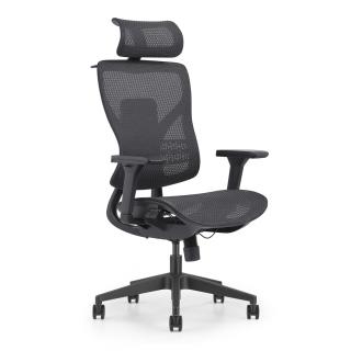 Pisarniški stol ERGOLITE NET