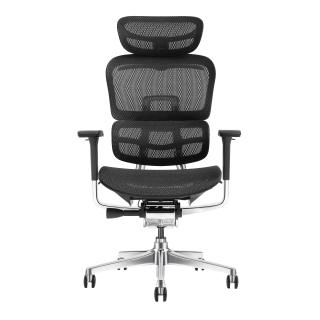 Pisarniški stol ERGOPRO NET AL8