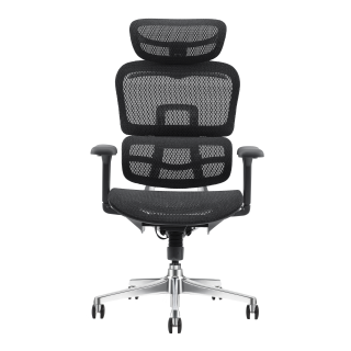 Pisarniški stol ERGOPRO NET AL4