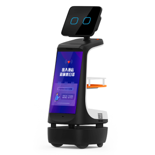 Robint Joy Robot Receptionist