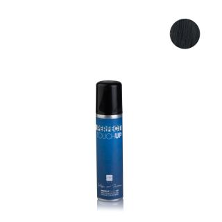 sprej LBP Perfect Touch Up - črn*