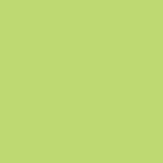 THE GEL POLISH DV1 Lime green - 3