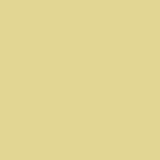 THE GEL POLISH FR4 Yellow - 3