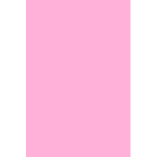 GEL POLISH 289 Baby Pink - 2