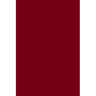 GEL POLISH 296 Cherry Red - 2