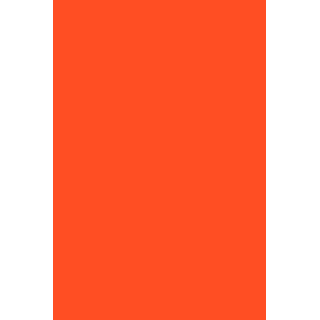 GEL POLISH 263 Neon Orange - 2