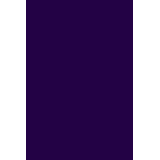 GEL POLISH 299 Dark Purple - 2