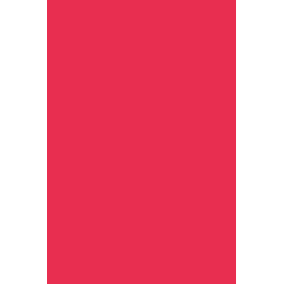 HYBRID GEL - FUSION COLOR H19 Hot Pink - 2
