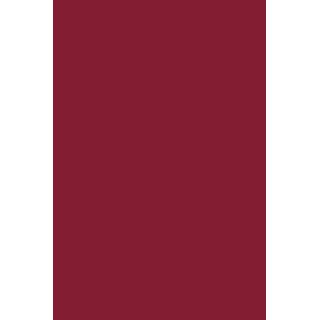 GEL POLISH 304 Red - 2