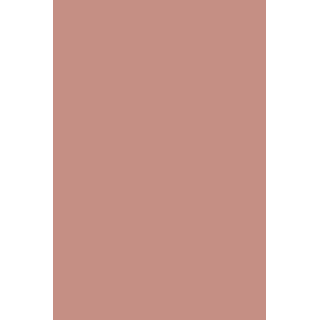 HYBRID GEL - FUSION COLOR H88 Natural Nude - 2