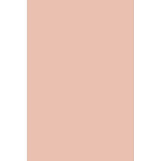 HYBRID GEL - FUSION COLOR H10 Light Nude - 2