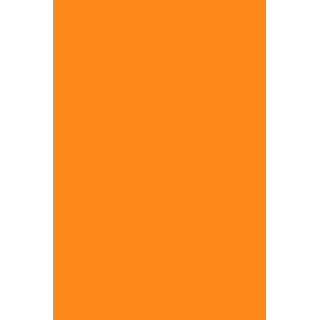 GEL POLISH 262 Neon Orange - 2