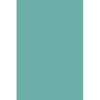 HYBRID GEL - FUSION COLOR H47 Mint - 2