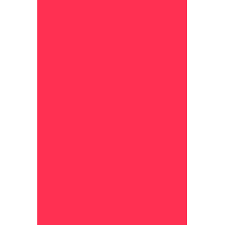 GEL POLISH 264 Neon Pink - 2