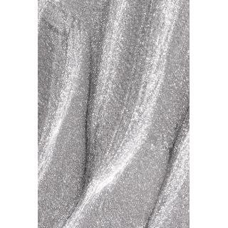 GEL PAINT 04 Silver - 2