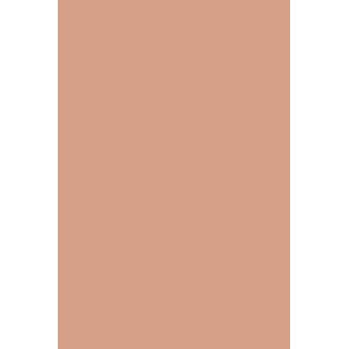 HYBRID GEL - FUSION COLOR H11 Nude - 2