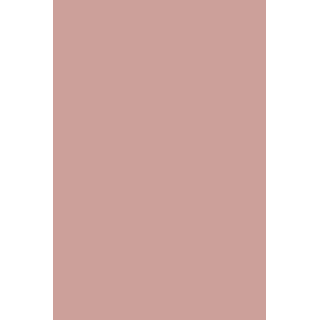 GEL POLISH Ba1 Nude Pink - 2