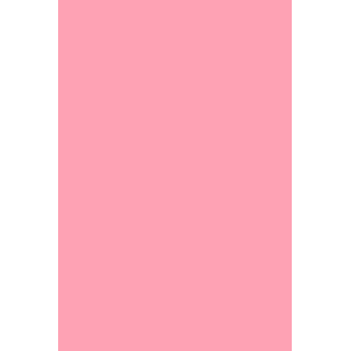 HYBRID GEL - FUSION COLOR H16 Barbie Pink - 2