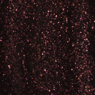 THE GEL POLISH CC3 Black with Gold Shimmer - 3