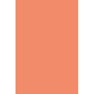 HYBRID GEL - FUSION COLOR H42 Nude Coral  - 2