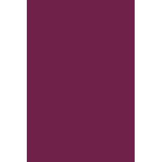 HYBRID GEL - FUSION COLOR H24 Dark Purple - 2