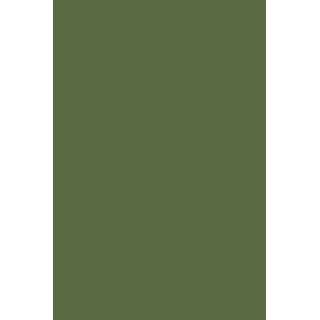 HYBRID GEL - FUSION COLOR H57 Khaki Green - 2