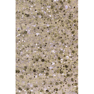 GEL POLISH 254 Gold and Silver Glitter - 2