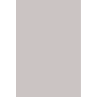 HYBRID GEL - FUSION COLOR H5 Light Grey - 2