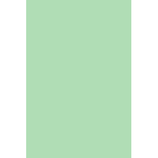 GEL POLISH 286 Mint Green - 2