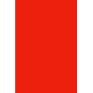 HYBRID GEL - FUSION COLOR H39 Bright Coral - 2
