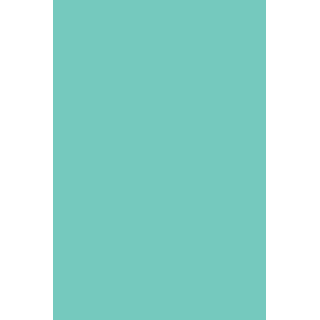 GEL POLISH 291 Turquoise Green - 2