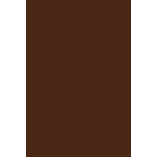 GEL POLISH FF5 Marron noisette - 3