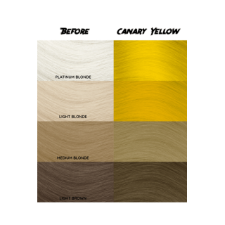 barva CC 49 - Canary yellow
