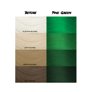 barva CC 46 - Pine green