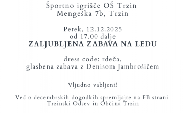 Zaljubljena zabava na ledu