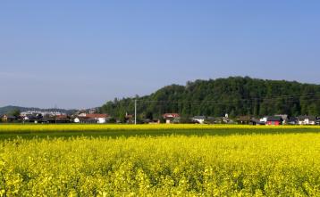 Slika za dogodek Očistimo Trzin 2026