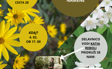 Slika za dogodek Interaktivna delavnica