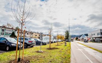 Novi drevored v Trzinu