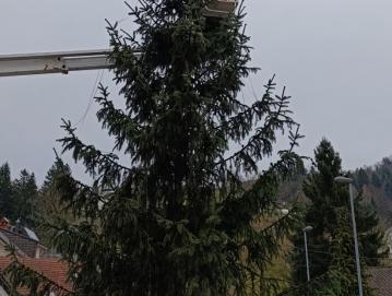 Pri okraševanju jelke je z dvižno košaro priskočil na pomoč tudi Matej Primožič s Trebije. FOTO: AJDA BEKŠ