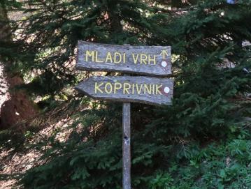 V Turističnem društvu Stari vrh vabijo na Pomladni pohod. FOTO: HERMINA JELOVČAN